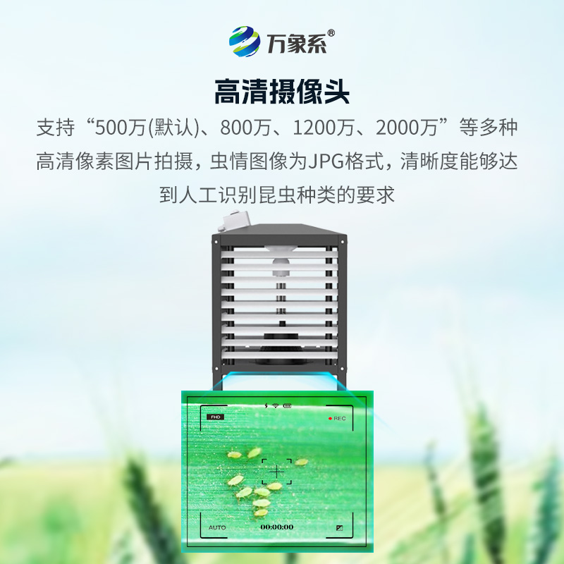 小蟲體自動測報系統(tǒng)